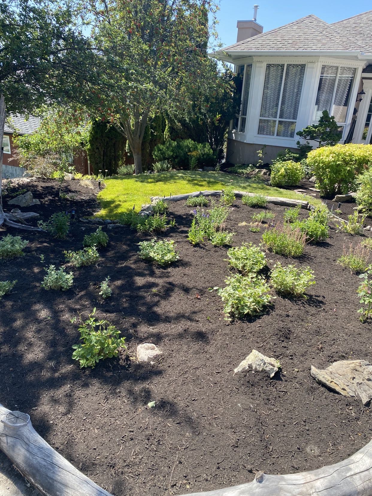 Clean yard that just had junk removal completed